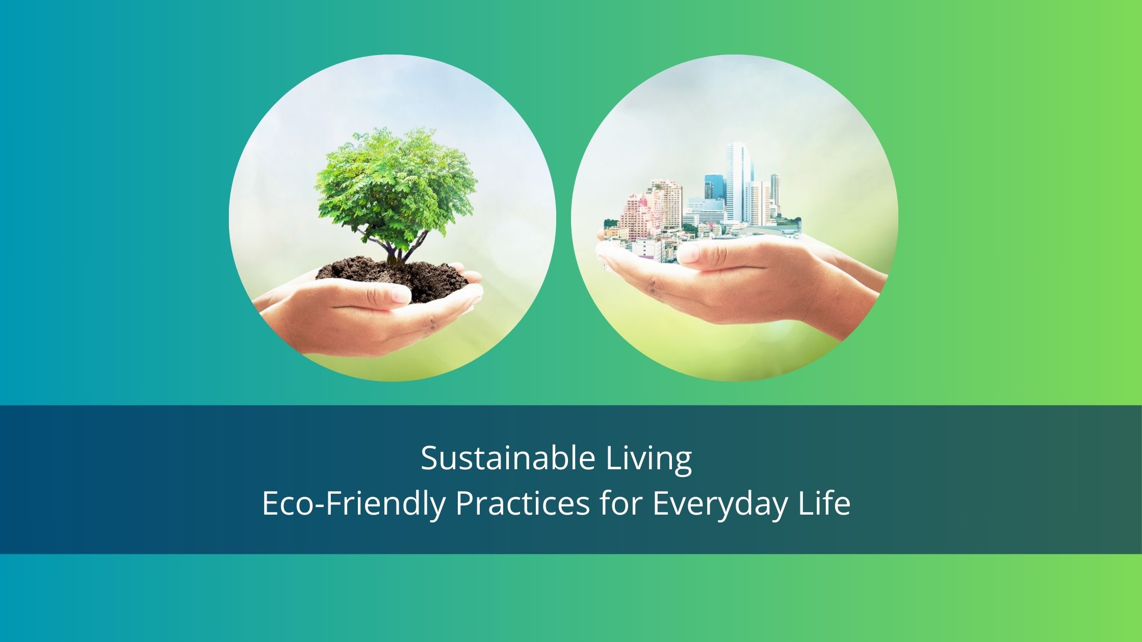 Sustainable Living: Eco-Friendly Practices for Everyday Life